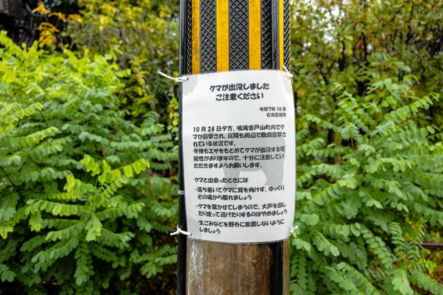 嵐山周辺にもクマ　府内各地注意呼びかけ　「域外」初の出没も