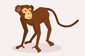 【国際】ウイルス感染の恐れある実験用サル発見、銃で撃ち殺した米国人女性「母親ならみんなそうしたはず」 ／ミシシッピ州