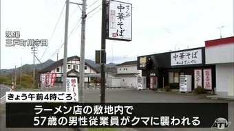 【青森】ラーメンの仕込み中にクマに襲われ男性けが「やられて、投げ返した」クマが逃げたので仕込み作業を続ける
