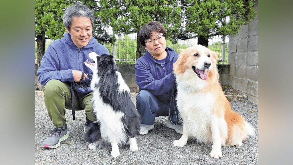どんな種類の犬も嘱託警察犬になれます…香川県警、シェパードなど７種類限定の制限撤廃