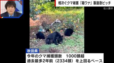 【まさに戦争だよ】秋田県のクマ被害が深刻化…小泉防衛大臣、自衛隊派遣で装備には“木銃”を採用