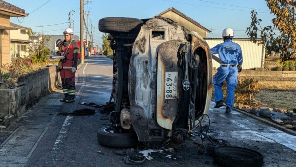 【速報】 クマ、シバ犬を連れ去る　犬小屋から引きずり出し・・
