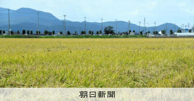 石破「政府備蓄米を放出してコメの市場価格を下げる！」　←これ無理あったよな