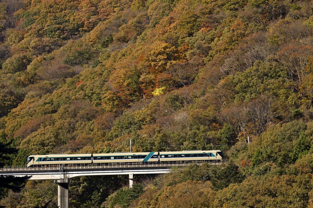紅葉と山間走る列車の共演　日光・野岩鉄道沿線で見頃　カエデやイチョウ、ピークは今週末まで