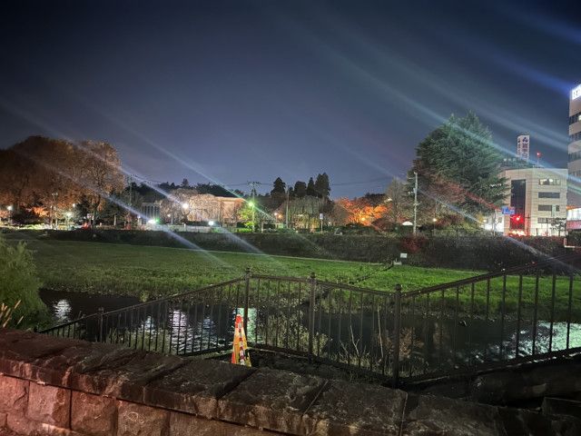 【（・(ｪ)・）】盛岡一の繁華街近くにクマ出没　週末で人通り多く警察が警戒強める　岩手県