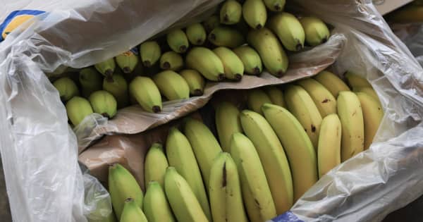 【米相互関税】農畜産物を除外　国民の物価高不満高まり政策転換