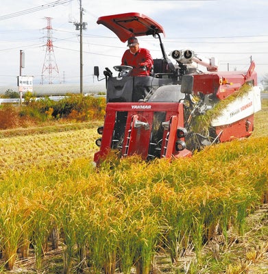 【コメ高騰】１回の田植えで２度収穫、温暖化逆手のコメ「再生二期作」広がる…一期作に比べ収量倍増の研究結果も