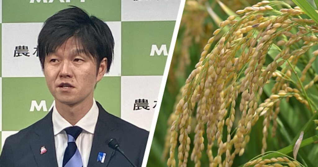 二転三転のコメ政策、物価高対策に逆行　食料安保強化とも矛盾