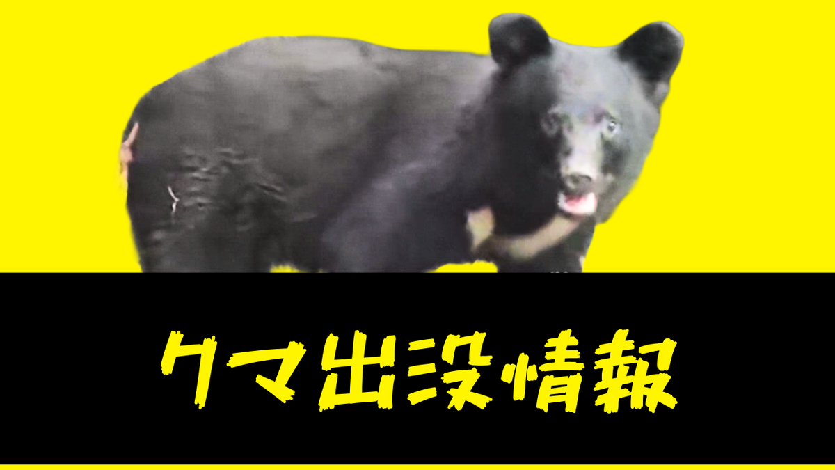 【青森駅付近】「クマが川を泳いでいる」目撃情報
