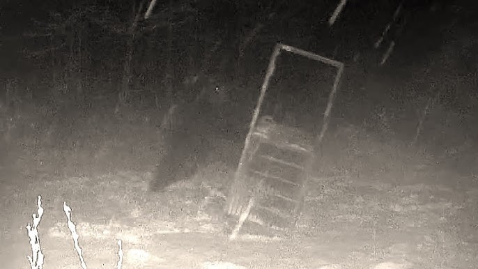 北海道猟友会会長「ヒグマの駆除は警察と自衛隊だけでやってほしい。猟友会は外してほしい」