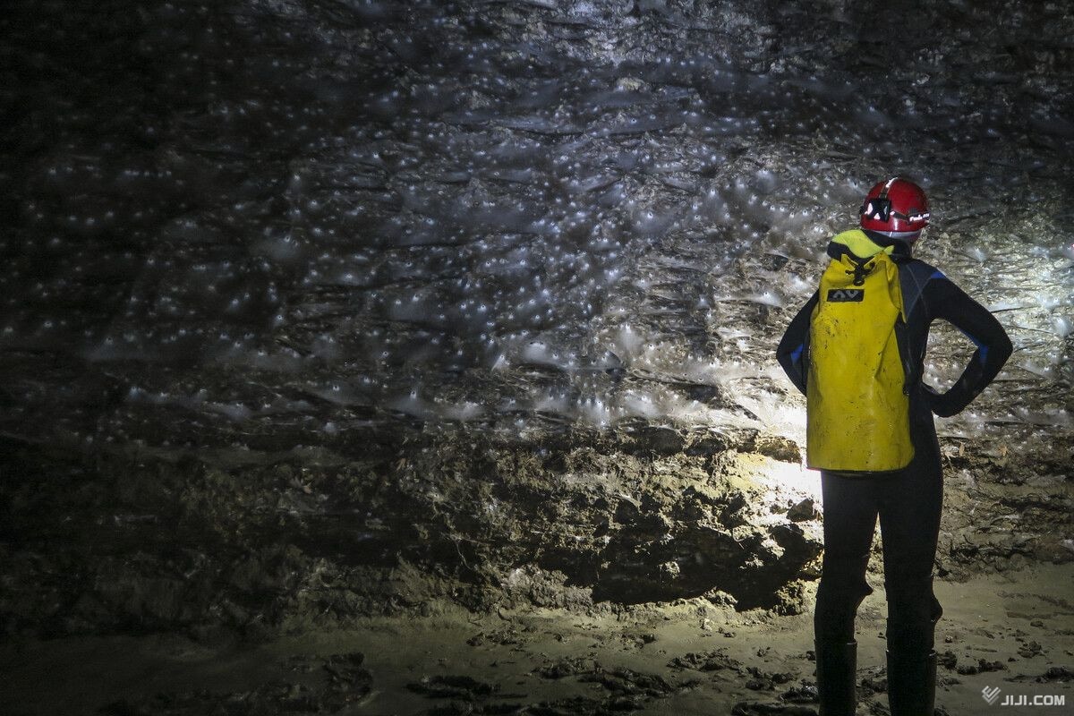 テニスコート半面の巨大クモの巣　洞窟に１１万匹生息―ギリシャ