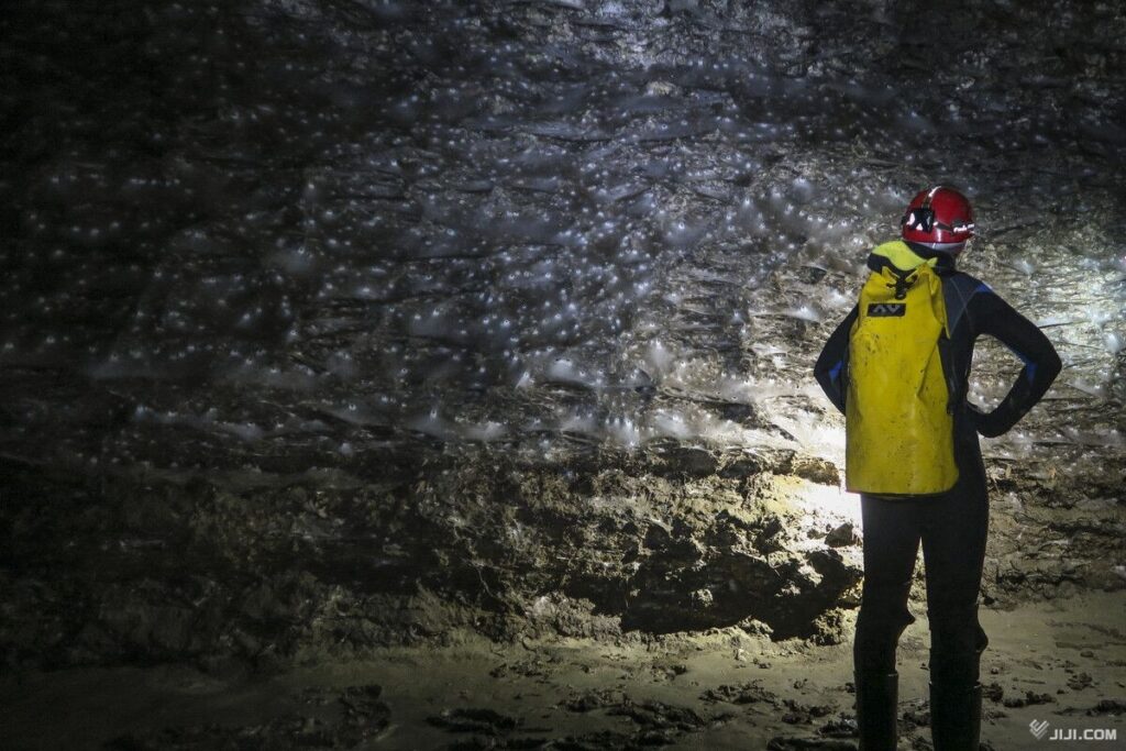 テニスコート半面の巨大クモの巣　洞窟に１１万匹生息―ギリシャ