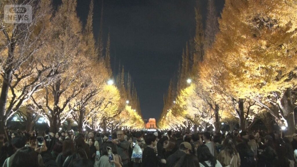 【東京】神宮外苑イチョウ並木の紅葉に観光客殺到　車道での危険な撮影相次ぎ混乱