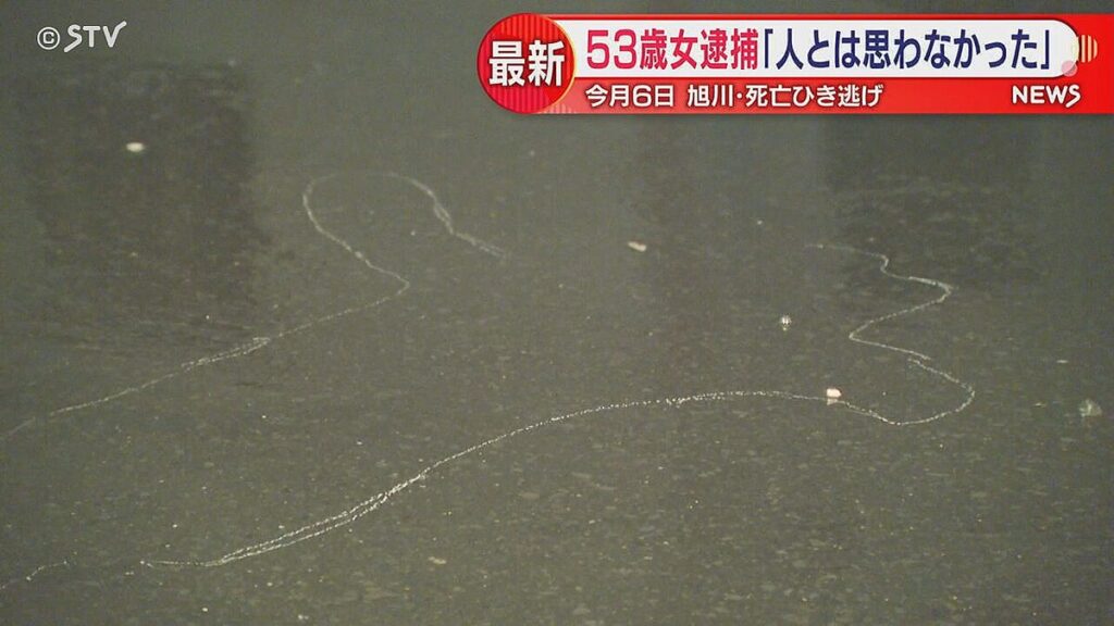 女性「轢き逃げじゃない！スマホを操作していたから、何か轢いても人とは思わなかった！」