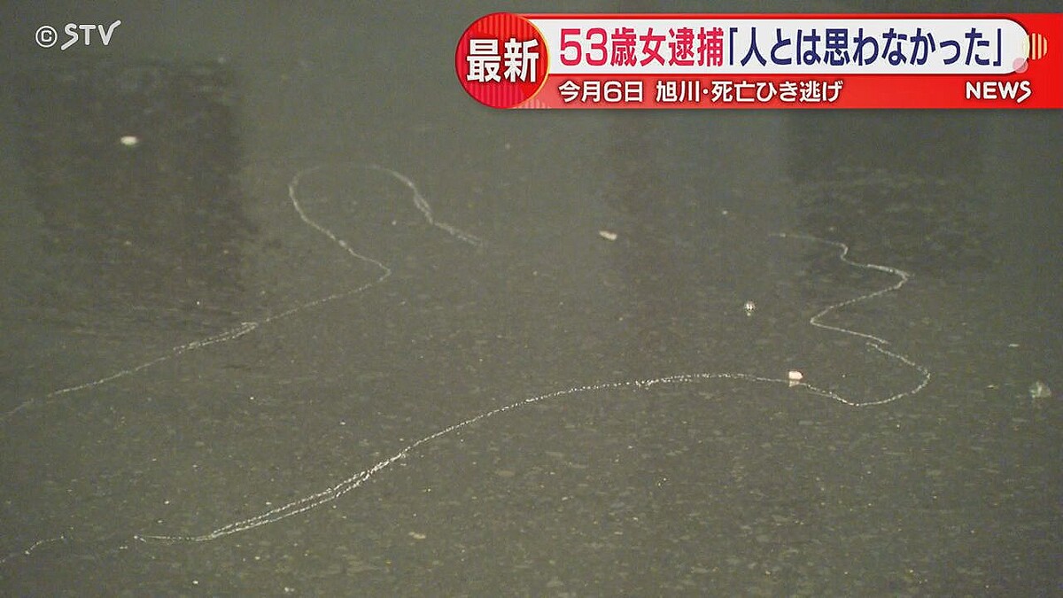 女性「轢き逃げじゃない！スマホを操作していたから、何か轢いても人とは思わなかった！」