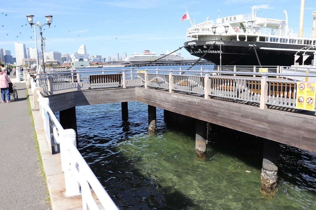 【横浜】山下公園前の海で上半身のみの遺体発見から１カ月　人為的に切断の可能性、女性と推定も身元特定に至らず