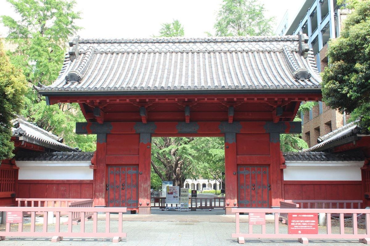 【子育て】子どもの学歴と年収は「生まれ」で決まる…最新研究で判明「頭のいい子が育つ裕福家庭」が幼少期に徹底すること