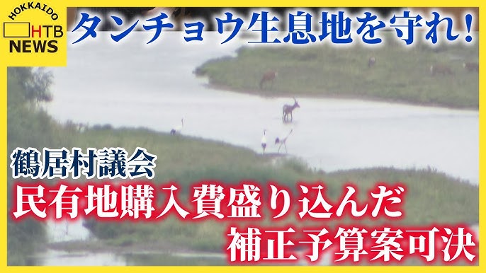 【釧路市鶴居村のメガソーラー建設計画】景観を守る為に、鶴居村がメガソーラー建設予定地（民有地）を購入へ