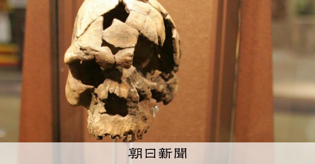 最初のアメリカ人は北海道・サハリン・千島列島地域起源？　日米チーム新仮説、出土品に共通点