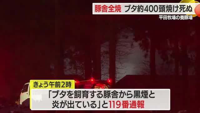 【山形】豚舎が全焼　ブタ４００頭が焼け死ぬ