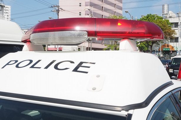 【犬】徘徊していたピットブル自宅に戻る　沖縄市は飼い主に口頭で指導