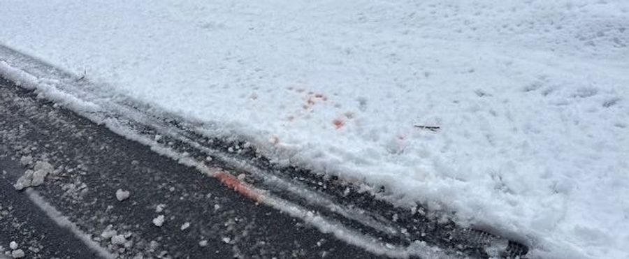 【山形・白鷹町】弾が胸に当たる ハンター死亡