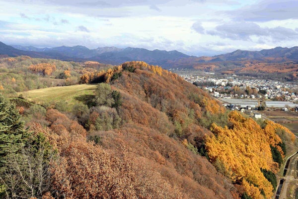 【北海道】メガソーラー建設事業者が農地に違法工作物…ワイン用ブドウ畑広がる一大産地、道と市が撤去指導