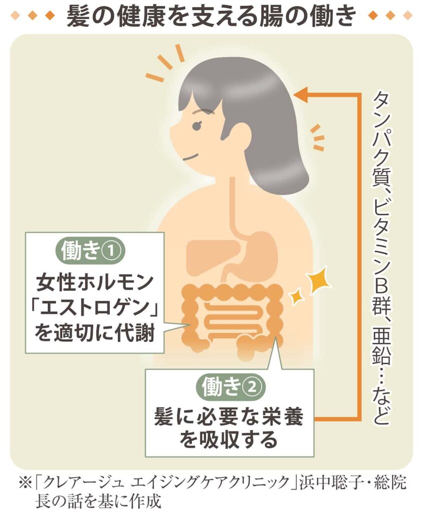 「腸活」と髪の毛の深い関係　腸内環境悪化は抜け毛の原因、発酵食品や食物繊維を摂取して　きょうからヘア活