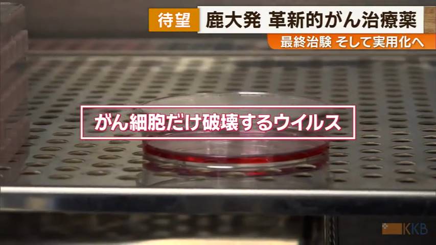鹿児島大学教授が開発した画期的な「がん治療薬」 最終治験へ がん細胞だけを破壊するウイルス