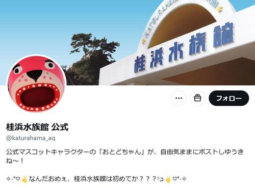 【高知】桂浜水族館のおとどちゃん、「きっと客はこない　サイレッナイ…」クリスマスポストに反響続々