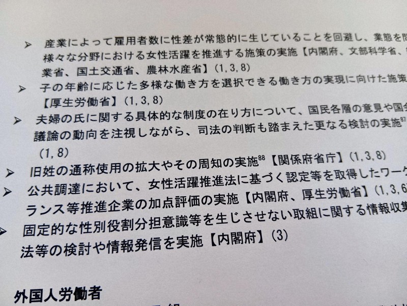 政府行動計画から消えた選択的夫婦別姓　高市政権への配慮は否定