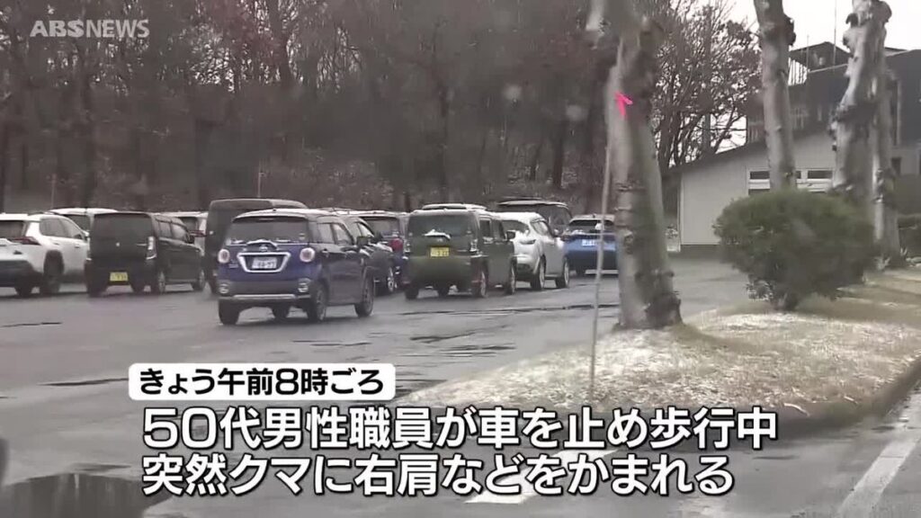 【秋田】大森山動物園駐車場付近で“野生のクマ”に襲われ職員がけが　クマはその後立ち去る　園で飼育のクマはおりの中にいるのを確認