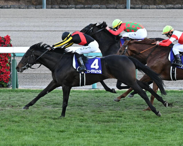 【競馬】有馬記念　皐月賞馬ミュージアムマイルが古馬撃破で日本一！Ｃ・デムーロ絶好枠生かす