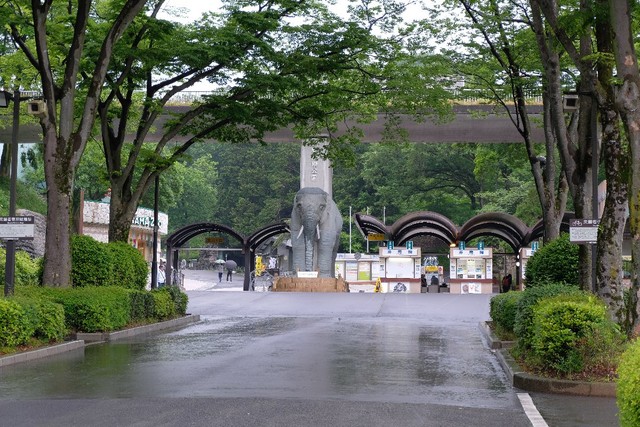 【東京】多摩動物公園 脱走したオオカミの現状報告「元気に過ごしています」舎にちょこん「思ったより犬」の声