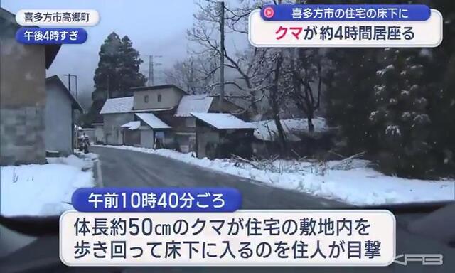 【福島】大みそかにもクマが…喜多方市の住宅の床下に４時間にわたって居座る　警察などが注意を呼び掛け