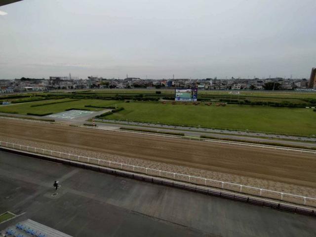 【スモモモモモモモモ】   浦和競馬で実況泣かせの珍名馬対決にＳＮＳ爆笑「トラップな実況過ぎる」「ワイド馬券を衝動買い」  【バララララララ】