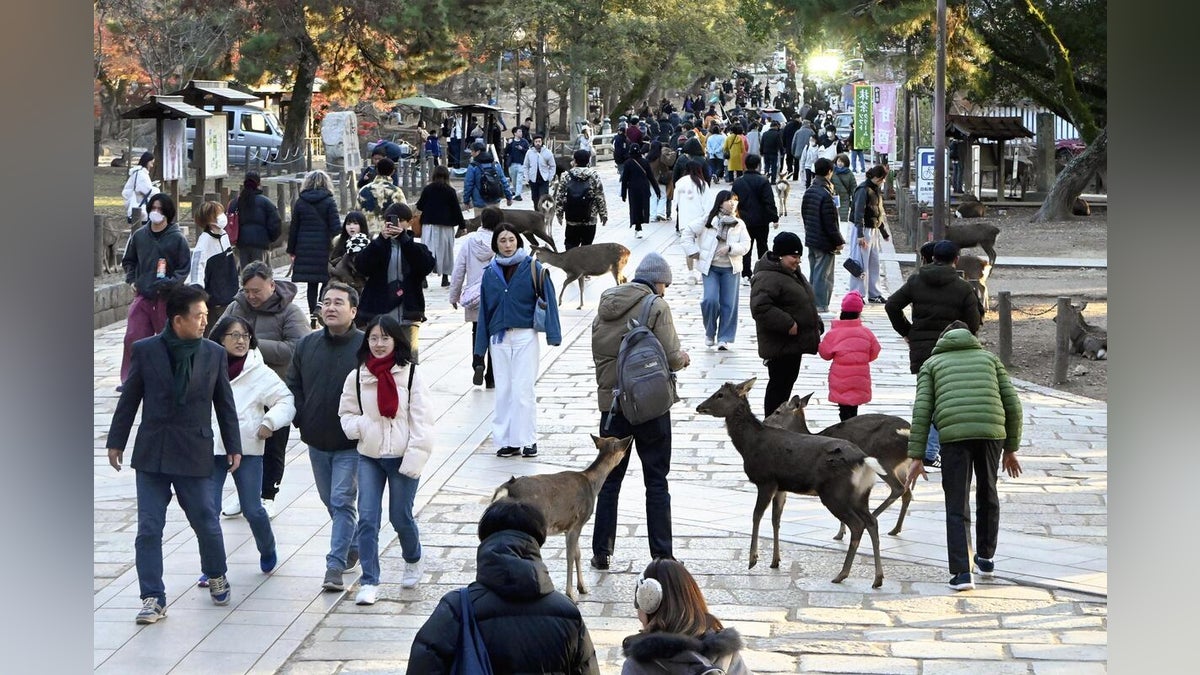 訪日外国人の見通し、中国・香港からの来日減少、欧米豪からは増加