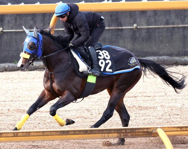 【競馬】超良血馬まさかの大敗デビューにネット悲鳴「これはショック」「見せ場ゼロ」キタサンブラック半弟ラルクアンレーヴ