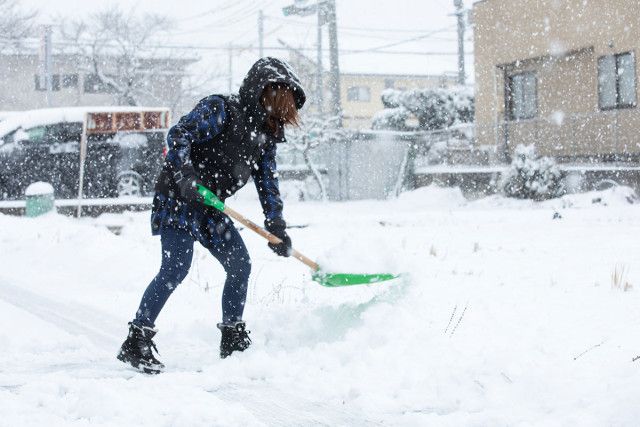【気象】実は日本が「最大の被害者」…　異常気象で日本はどう変わる？　「桜が咲かない地域が出てくる」「国力が損なわれる」