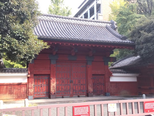 東大院教授を収賄容疑で逮捕、ソープランドや高級クラブ接待を要求か…業者が恐喝未遂容疑で被害届