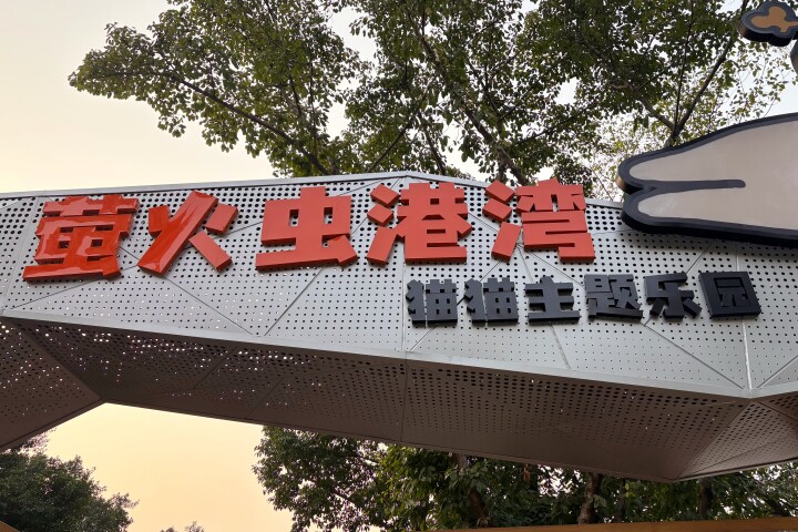 【写真特集】 重慶に誕生した猫の楽園、保護猫が主役のテーマパーク