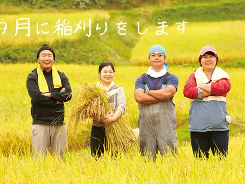 もち米農家がコメ不足を受けて主食米鞍替え、その影響で餅まで高騰。米は下がらず　何この愚政策