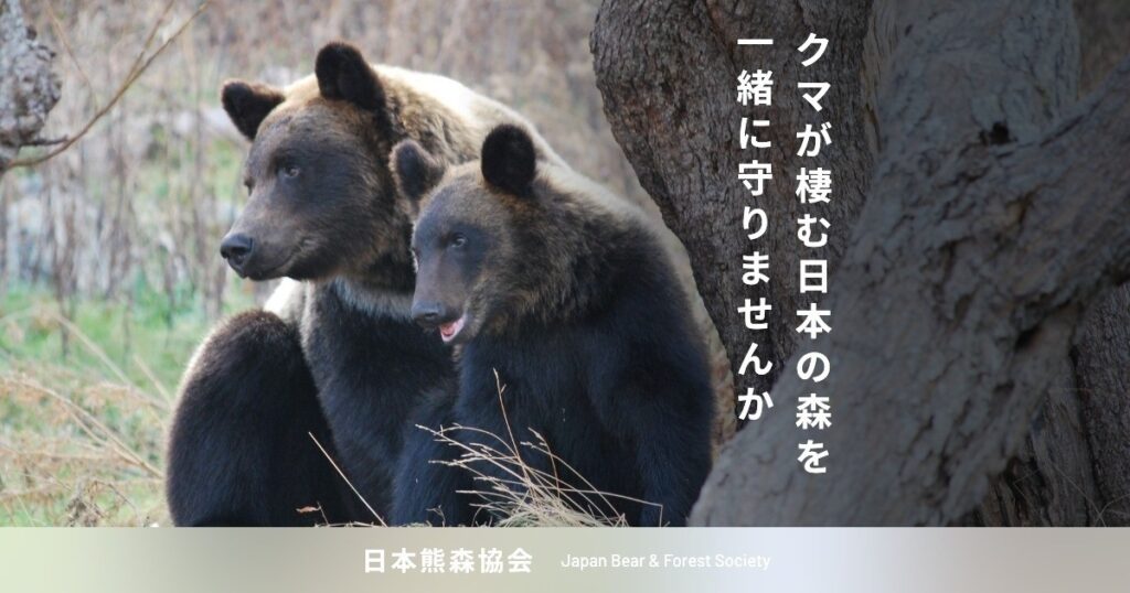 日本熊森協会、「熊側」につく