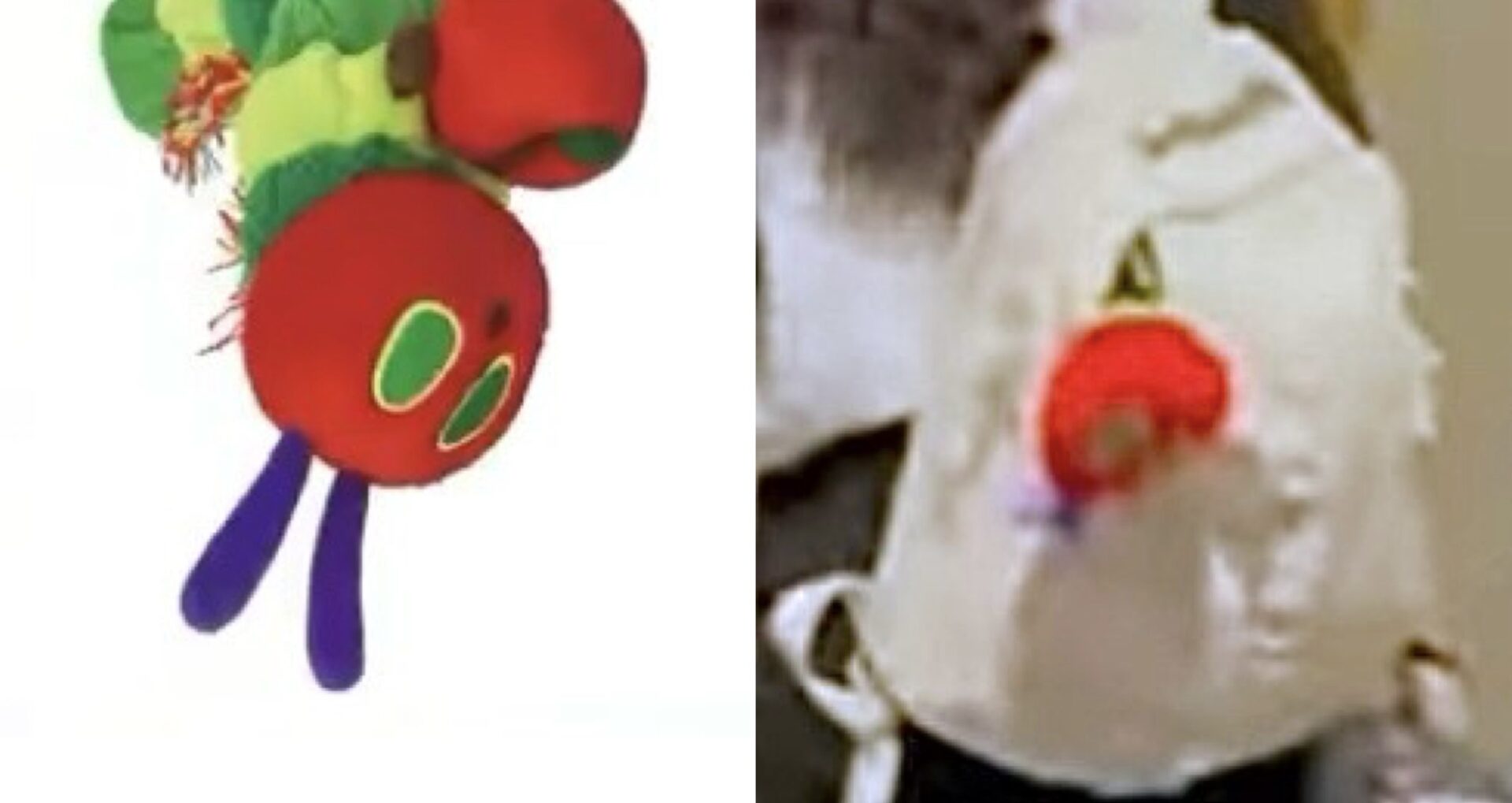 【悲報】オールドメディア「大谷真美子はBTSのファンで韓国好き！」←捏造記事を出しまくってしまう