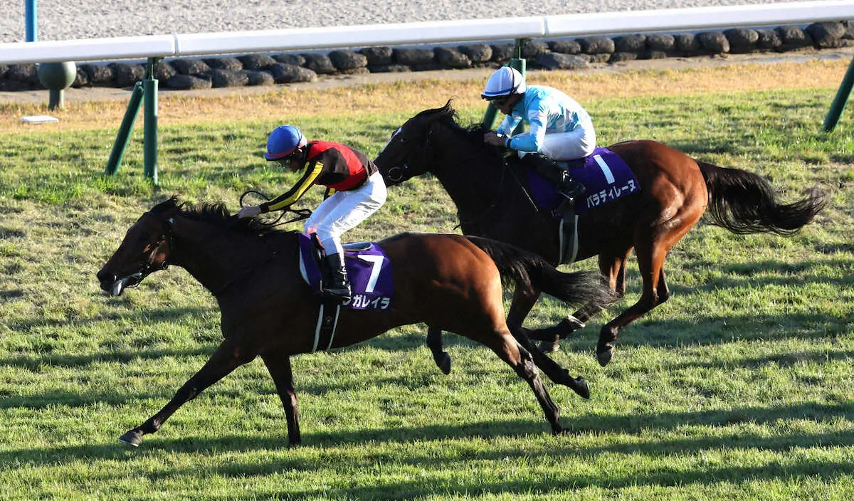 【競馬】エリザベス女王杯(京都・G1)　1番人気レガレイラ完勝！初の牝馬限定戦勝利で3つめのG1制覇
