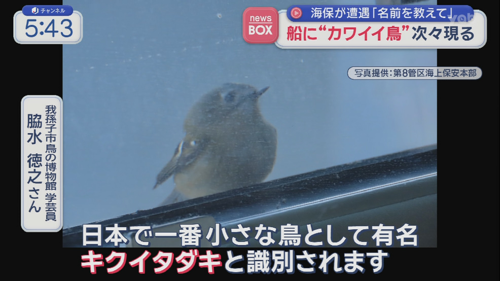 【(•⌓•)】船に“カワイイ鳥”次々現る　海保が遭遇「名前を教えて」