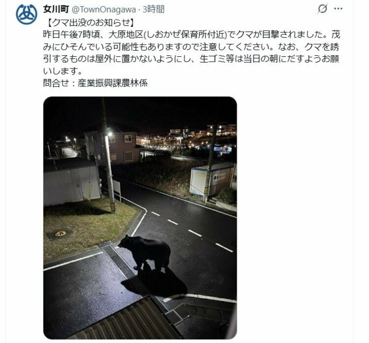 女川町が公式Xに「フェイク画像」のクマ投稿 注意喚起もその後 偽物と判明「作成者本人から連絡」