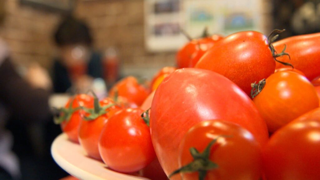 【🍅】“トマトショック”がカレーも直撃　平均価格が2.4倍に上昇…主要産地・熊本県の記録的な大雨で出荷量減少