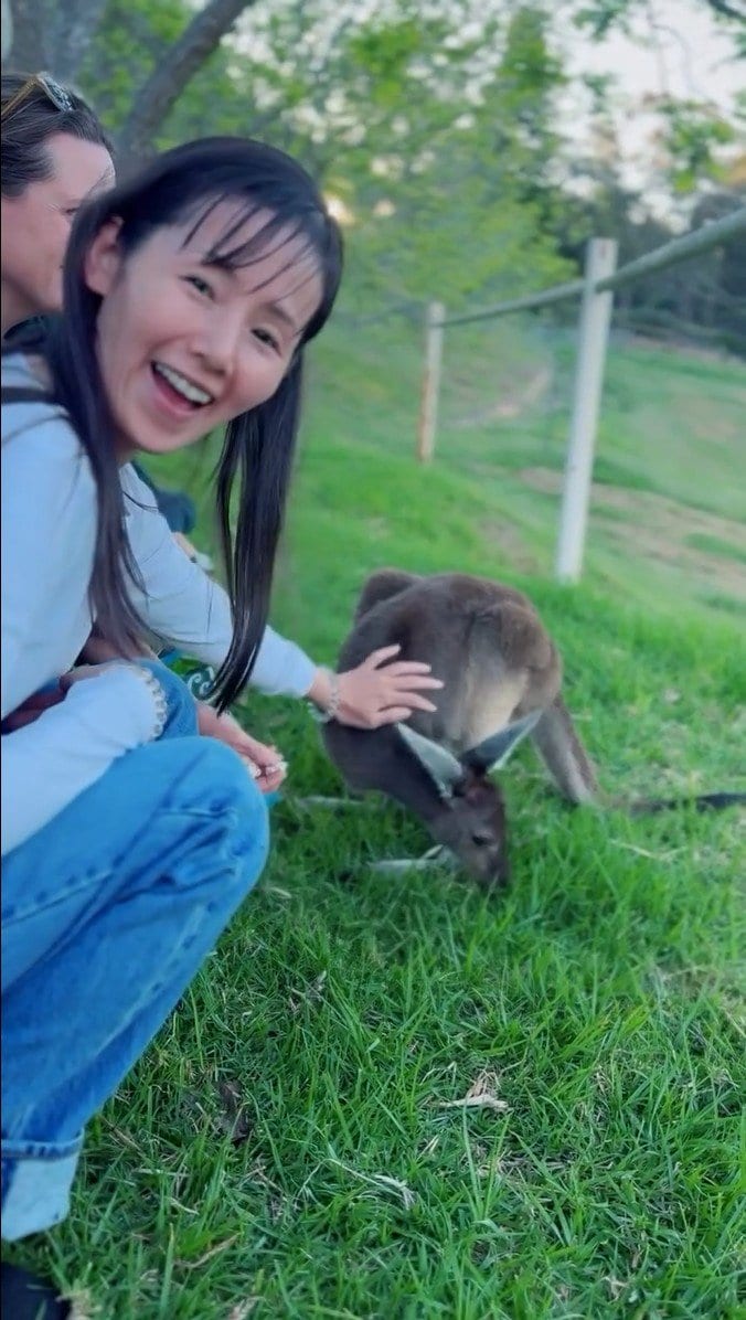 【小西真奈美】初めてカンガルーに触れ「柔らかい…そしてめちゃくちゃ可愛い♥」