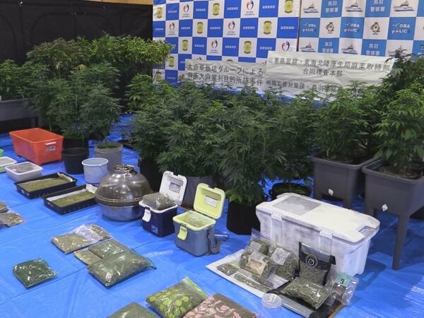 【三重】末端価格5千万円以上を押収…乾燥大麻を販売目的で所持か　韓国籍の45歳男と30歳妻を逮捕